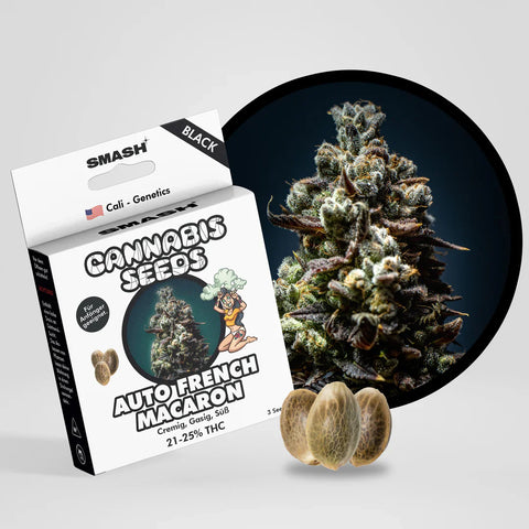 Automatic Seeds / Cannabis Samen